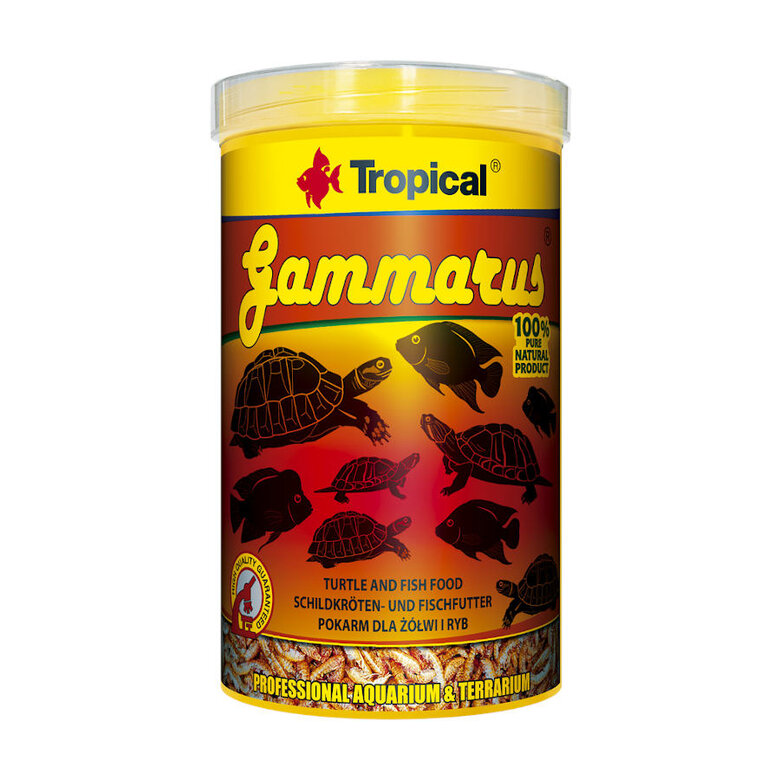 Tropical Gammarus alimento para répteis,  Imagem número 2 Tropical Gammarus alimento para répteis, , large Imagem número 2